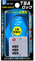 BS-787 包裝